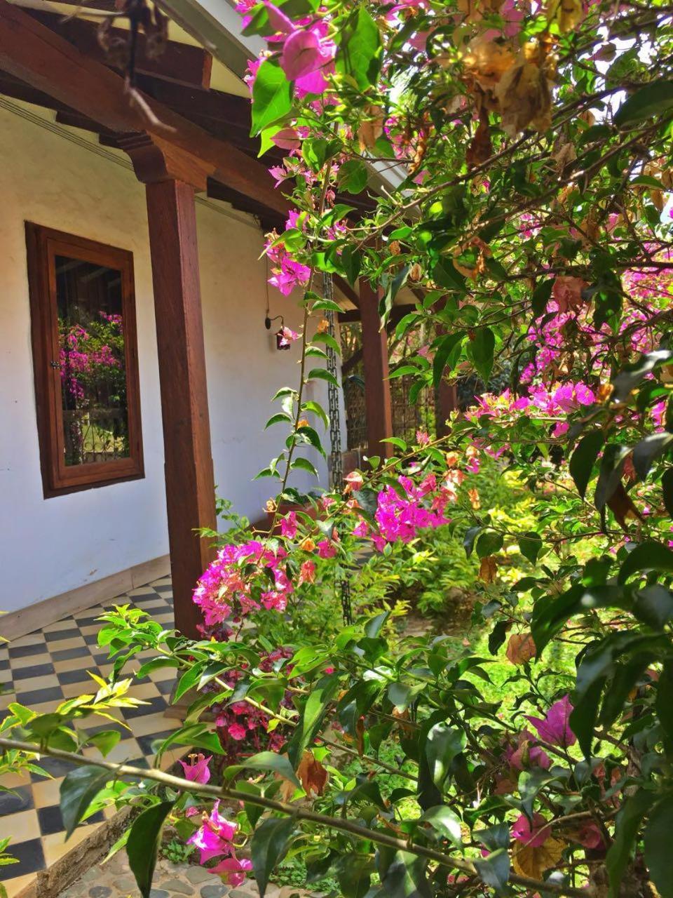 Casa Santamaria Hotel Campestre Jericoc  Eksteriør bilde